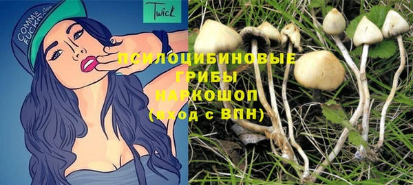 ПСИЛОЦИБИНОВЫЕ ГРИБЫ Алзамай