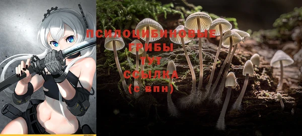 ПСИЛОЦИБИНОВЫЕ ГРИБЫ Алзамай